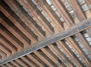 come eliminare i tarli dalle travi