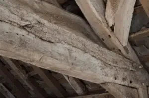 come eliminare i tarli dalle travi di legno