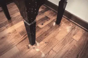 in che periodo sfarfallano i tarli