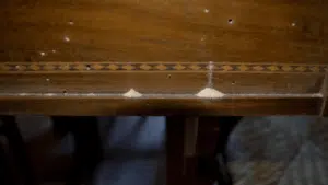 quando muoiono i tarli