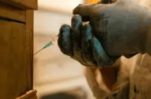 siringa con permetrina nei fori di sfarfallamento