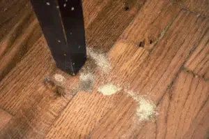 tarli nel parquet cosa fare