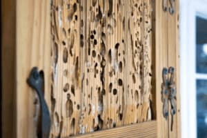 Porta in legno danneggiata da insetti xilofagi